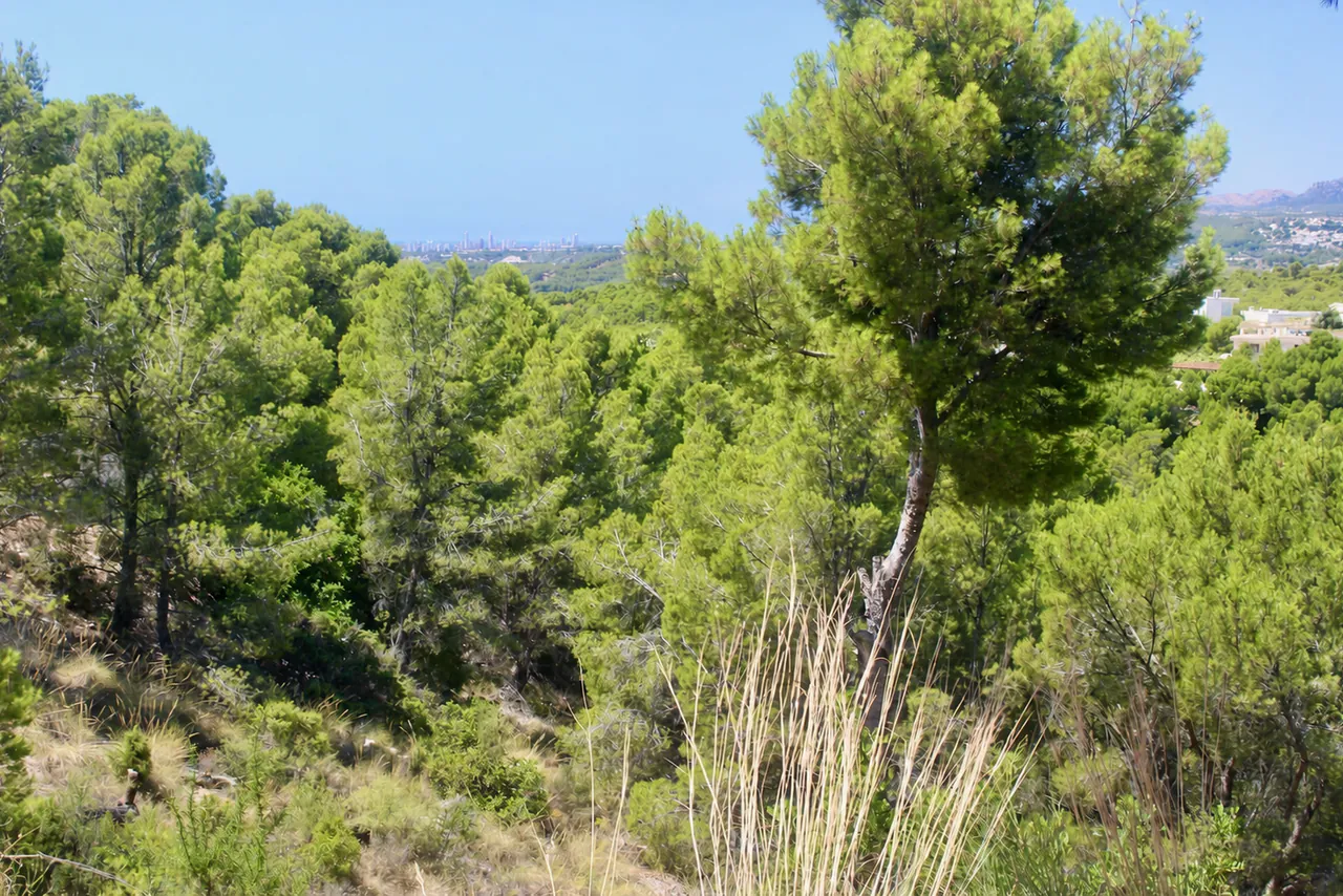Parcela Urbana de 1.639 m² en Altea la Vella | Ideal para Construir una Villa de Lujo — Parcela en venta en Altea, Costa Blanca — Miniatura 10