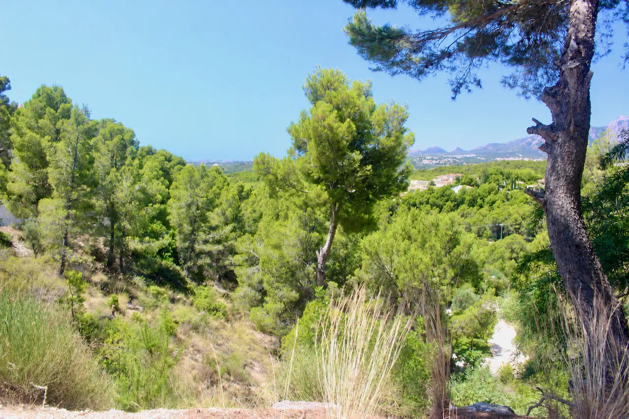 Parcela Urbana de 1.639 m² en Altea la Vella | Ideal para Construir una Villa de Lujo — Parcela en venta en Altea, Costa Blanca — Miniatura 11